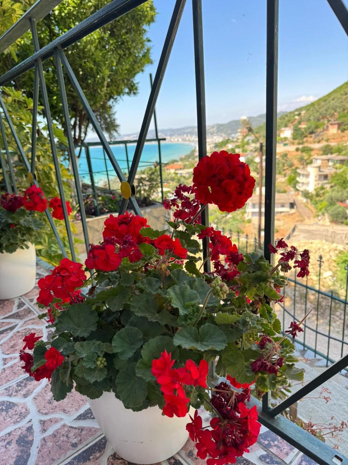 Mesaiz Vlorë